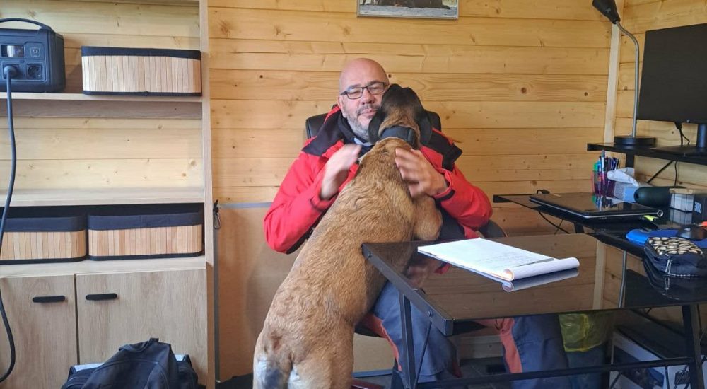 6313a45e-236a-40bf-9111-3aff890d9005-1